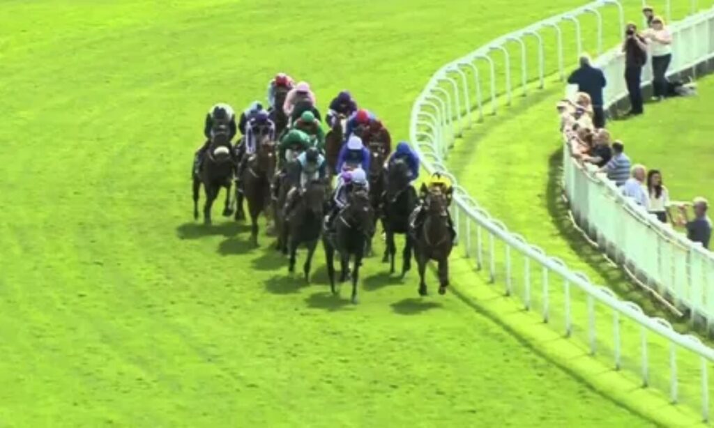 Derby Puns to Win Every Race for Laughter!