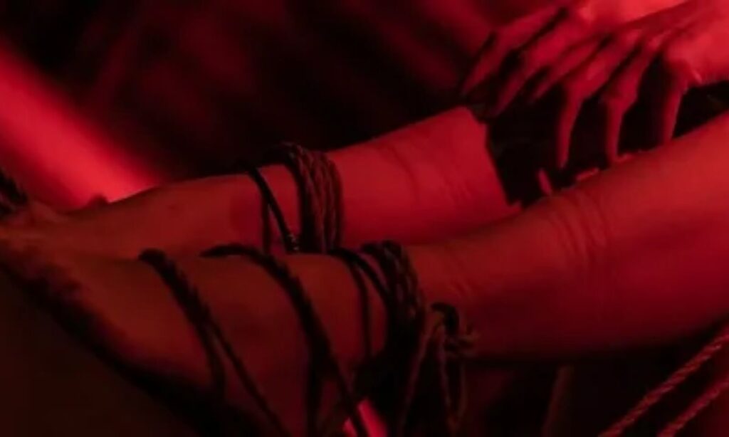 Elegant Bondage Aesthetic