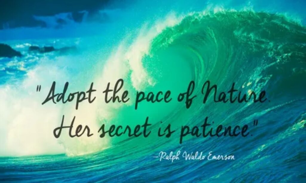 Patience & Growth Captions 