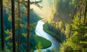 150 + Nature Captions for Instagram Captions 