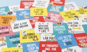 185 + Cute and Funny Dog Instagram Captions for the Best Posts of Your Pup