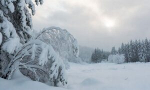 575+ Snow Captions for Instagram That Melt Hearts