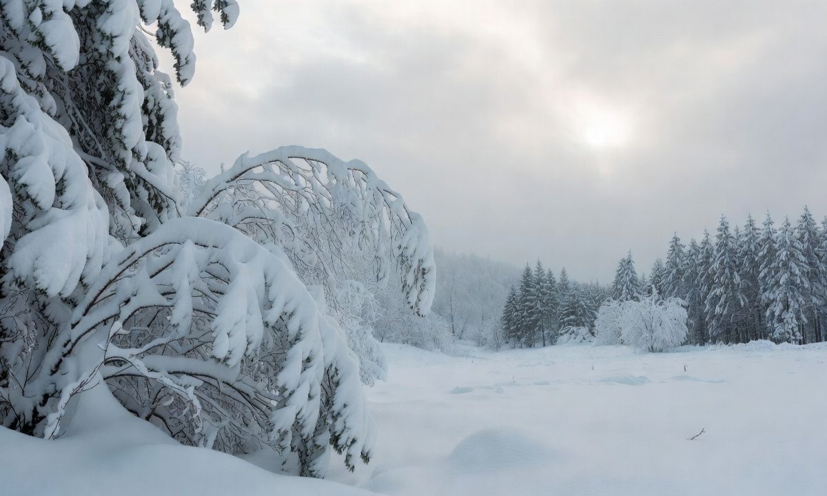 575+ Snow Captions for Instagram That Melt Hearts