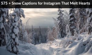 575 + Snow Captions for Instagram That Melt Hearts