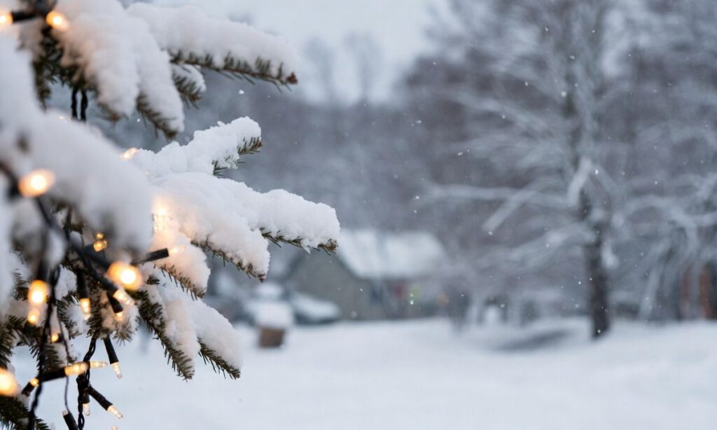 Christmas Snow Captions for Instagram