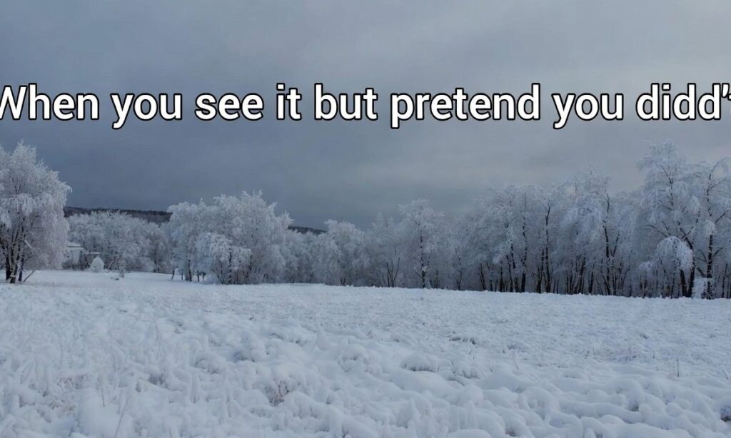 Funny and Witty Snow Captions for Instagram
