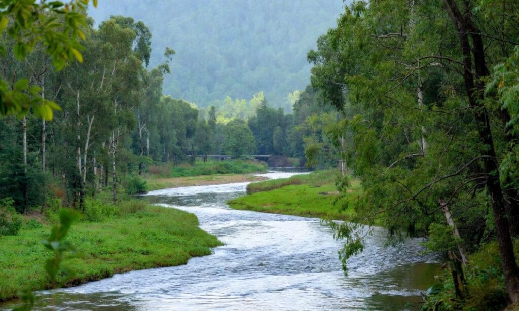 Nature Instagram Captions