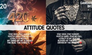 420 + Gangster Bio for Instagram – Unique & Killer Attitude Quotes